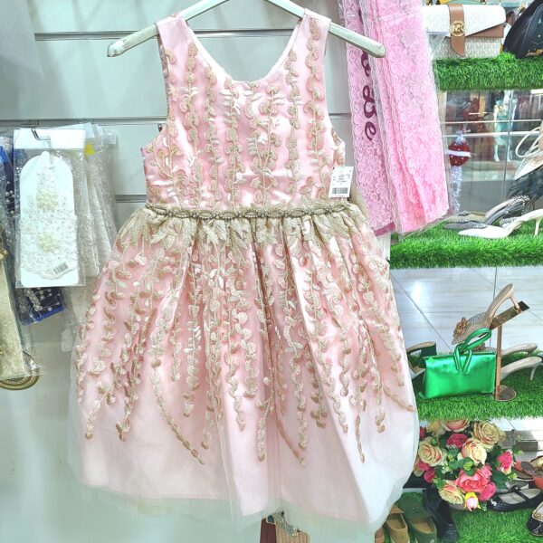 ROBE PRINCESSE FILLE 'AMERICAN PRINCESSE