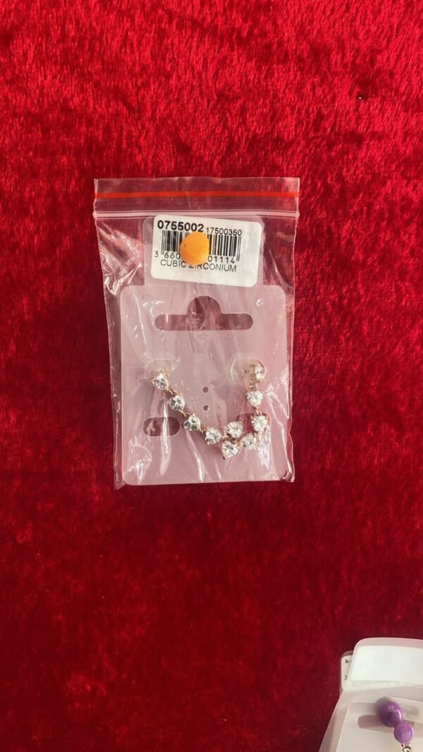 BOUCLES D'OREILLES 0755002