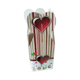PAQUET CADEAU ST VALENTIN TX-301