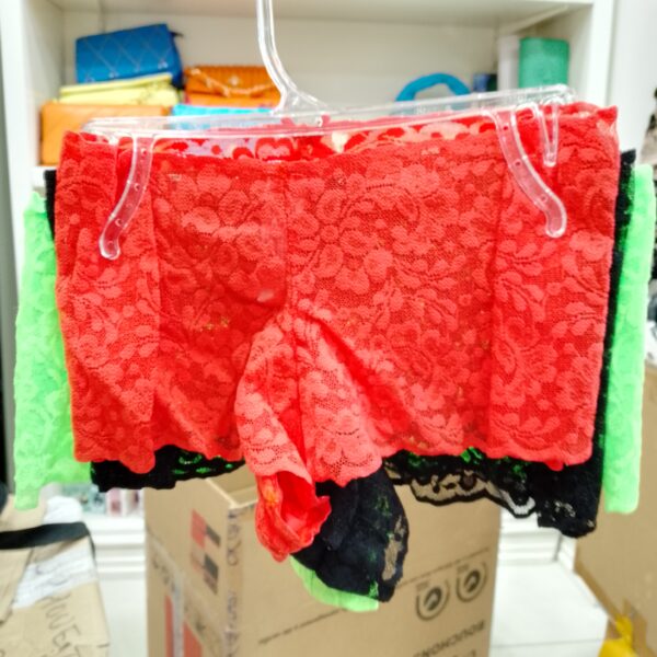 Sous vêtement femme FAMOUS BRAND (Caleçon femme) 3 EN 1 – Image 30