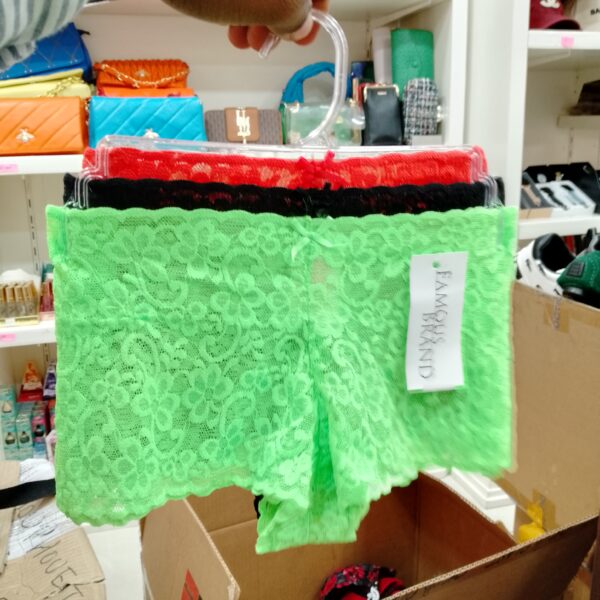 Sous vêtement femme FAMOUS BRAND (Caleçon femme) 3 EN 1 – Image 17