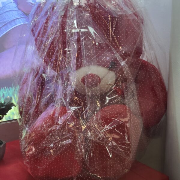 GROS NOUNOURS AVEC COEUR ROUGE