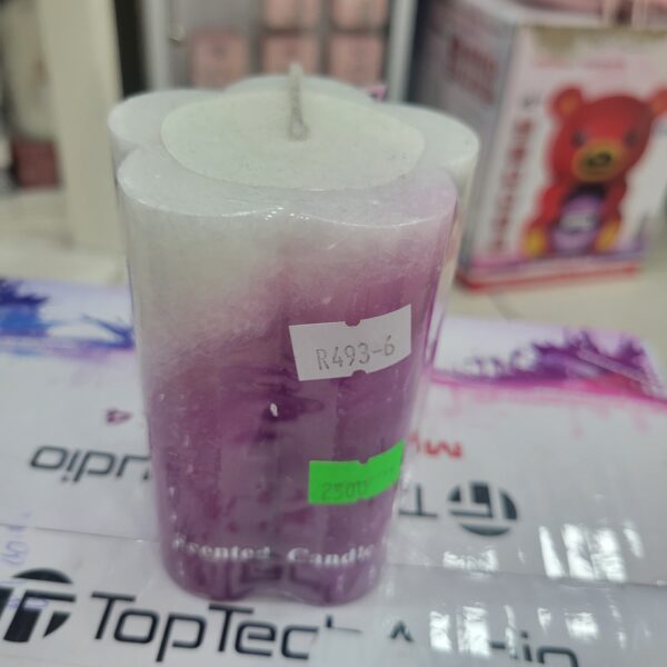 BOUGIE SCENTED CANDLE FOREST BT-R493-6