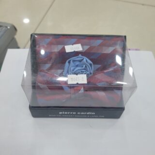 NOEUD PAPILLON + POCHETTE PIERRE CARDI BT-R445-8