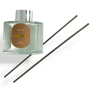 WhatsApp Image 2026-01-14 at 16.14.01