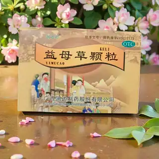 WhatsApp Image 2026-02-12 at 13.07.31